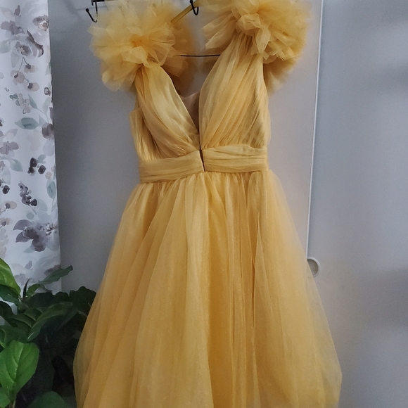 Mini Tulle Dress - Picture 5 of 16